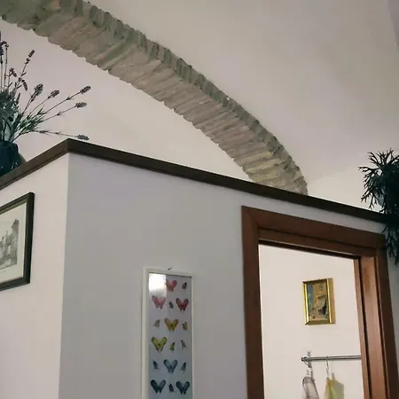 Fuori Le Mura